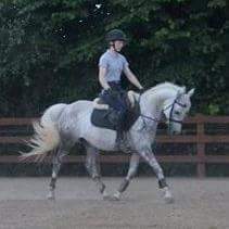 ComfortGutWorld's tweet photo. Fed on oceanfeed equine πhttps://t.co/nF76Yfns7m πFEI & RaceLegal π#horse #eq #toppony #success #eventing #horsehour https://t.co/4cmfnXs2E5