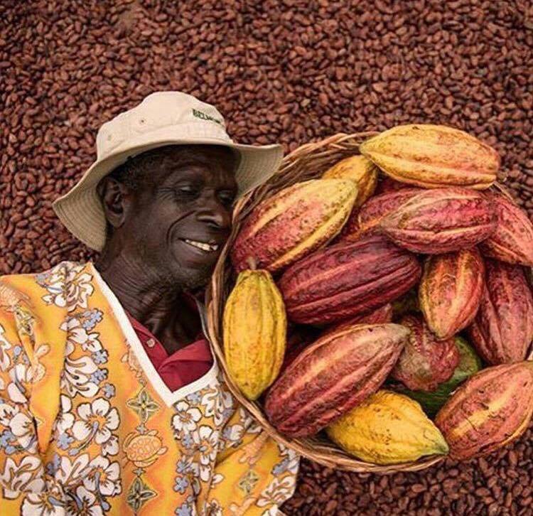 _HughRiley's tweet photo. Try some rich cocoa when you visit Grenada's historical and agricultural attraction; @BelmontEstates!
πΈ: @discovergrenada #CTM2016 https://t.co/UaaL7lGKvW