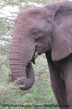 Jerry Coyne tweet media