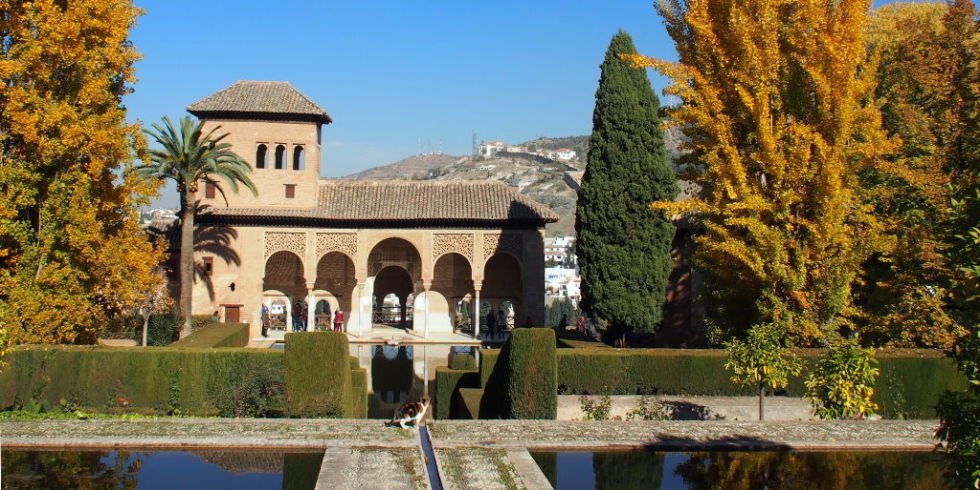 IlusionRecuerdo's tweet photo. ¿Quieres saber por qué #Granada en otoño es más especial de lo normal? Te lo explico en @WomansDaySpain  https://t.co/YGdrboFqxf #RVcontigo https://t.co/zyarlbhfKF
