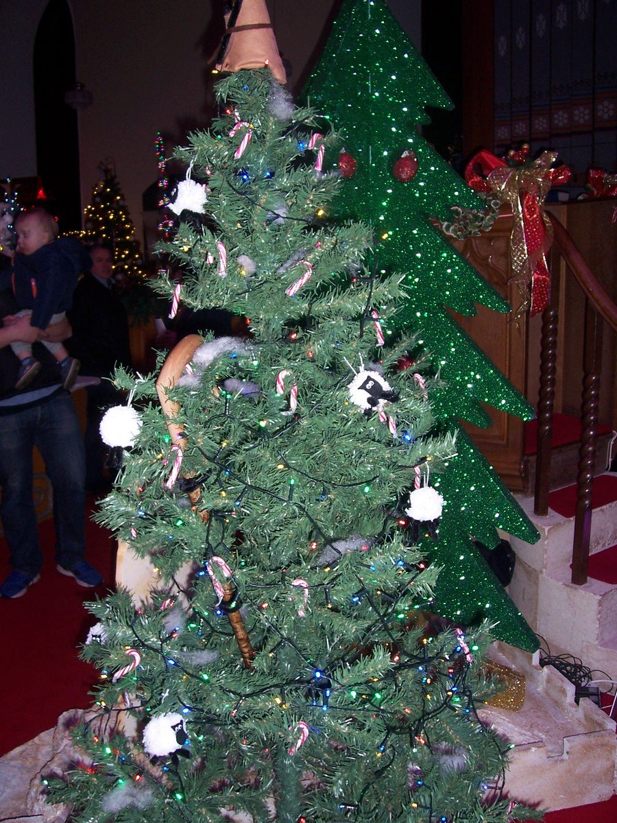 Barbara Crawford tweet media