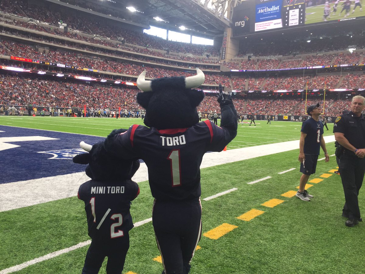 TexansTORO1's tweet image. I brought a LITTLE help for today's game.
#miniTORO