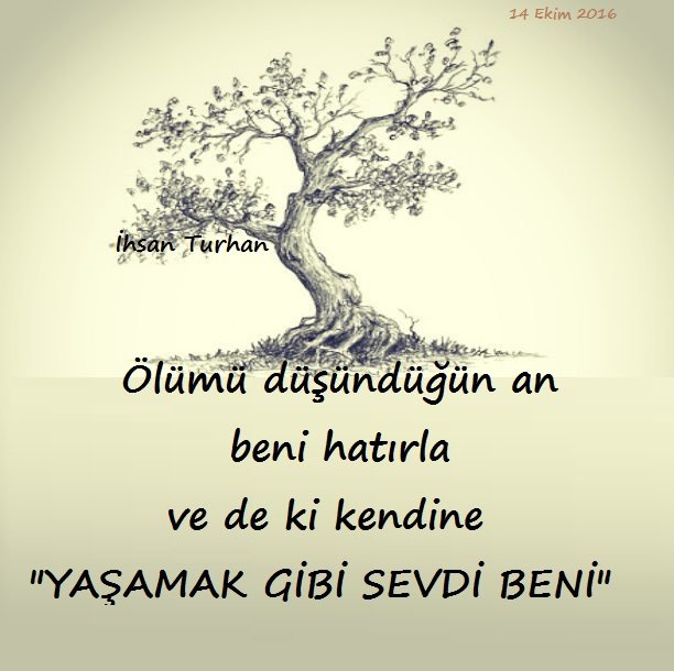 Yaşamak gibi sevdi beni..)🍁
