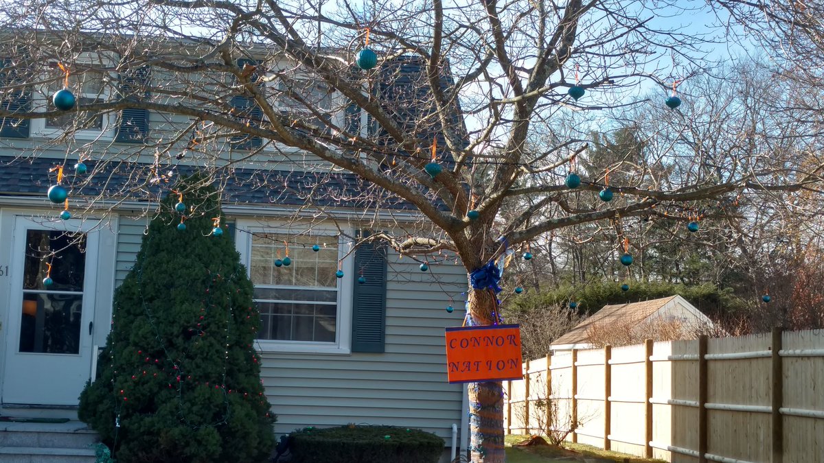 RobertJFucci's tweet photo. Hang a blue or orange ornament for Connor Hefler #ConnorNation https://t.co/P6plonmaWS