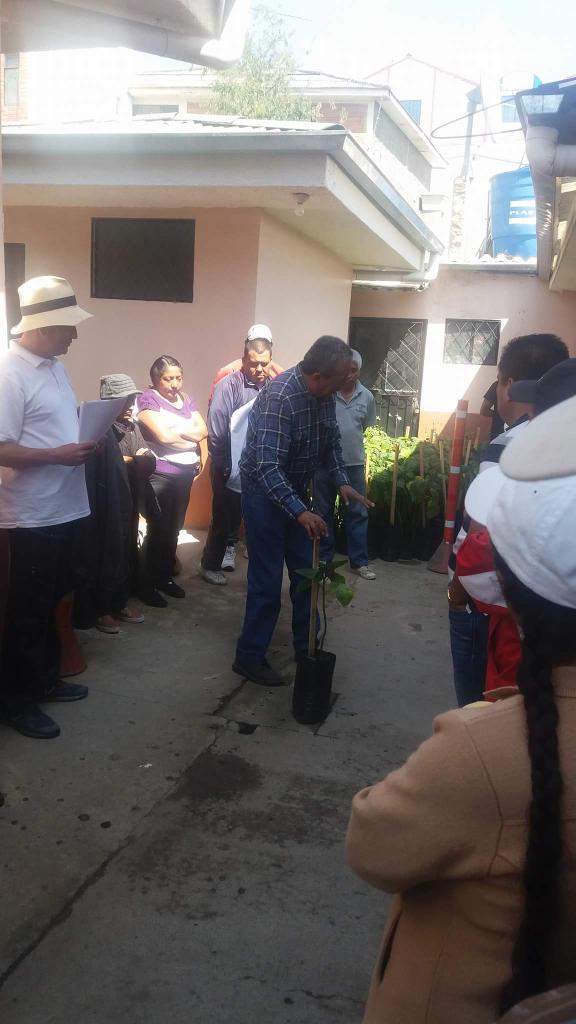 Capacitación para siembra de plantas ornamentales y frutales
EMAC y el GAD LLACAO.
Trabajando por Llacao.