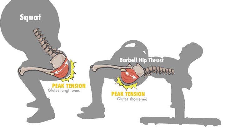 bretcontreras's tweet photo. Your Optimal Training Frequency For The Glutes Part I: Exercise Type https://t.co/dtVJQAdNWx https://t.co/fGvfDwFG0d