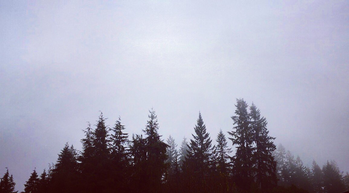 SarahShandl's tweet photo. There's a mountain back there. #Trust #Raincouver https://t.co/JWWAFV5Fd3
