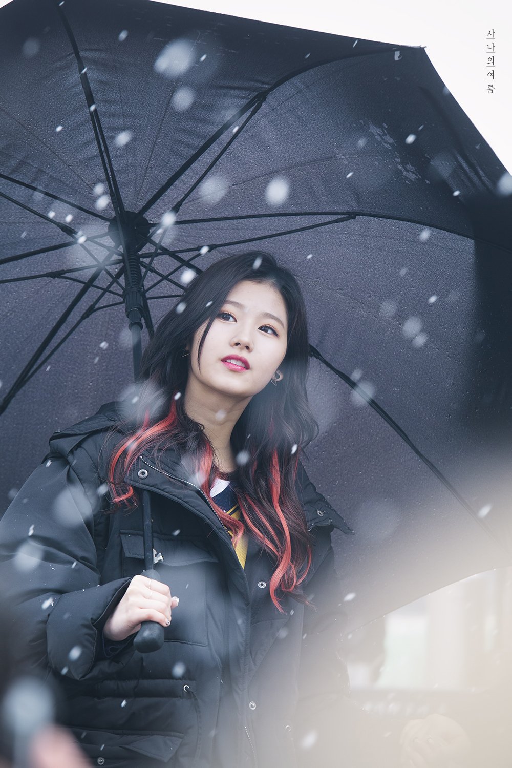 Unforgettable on Twitter: "161126 너는 매 순간을 어떻게 맞이하는지 . #SANA #TWICE #사나