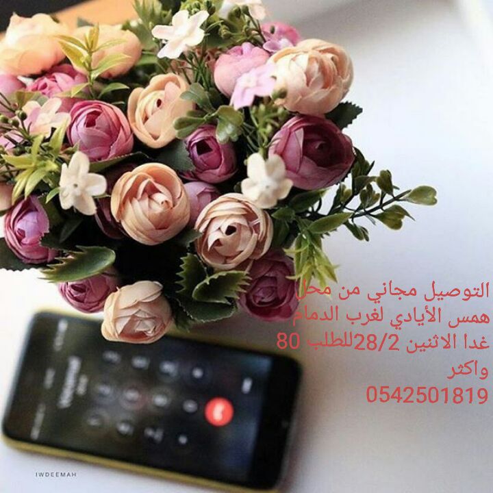hal434779 tweet picture