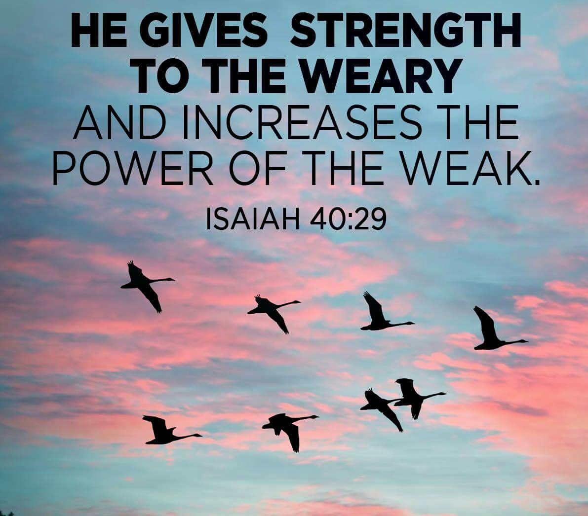TonyaWiltrout's tweet photo. #thankyoulord https://t.co/khiVKxSrgz