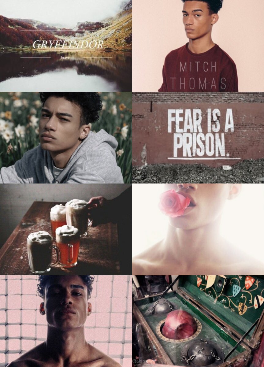 Aℓσнσмσяα Ƥяσмσ tweet media