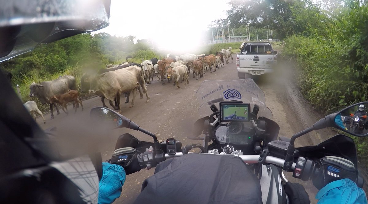 LovingLivingADV's tweet photo. You just never know what today's road will bring you in #Colombia. I am having the time of life here. #JupitersTraveller #SeetheWorld https://t.co/KMw7TzN4TP