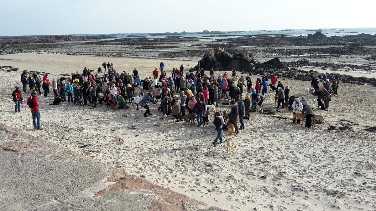 NoStringsJersey's tweet photo. Amazing turn out today at Green Island Beach to help #savemrbronx https://t.co/8JaZtHe3SC
