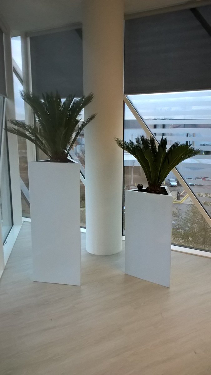 Madpalmerevans's tweet photo. A productive Sunday afternoon putting some stylish displays into the new office @ISSLandscaping https://t.co/egJkHIyHa2