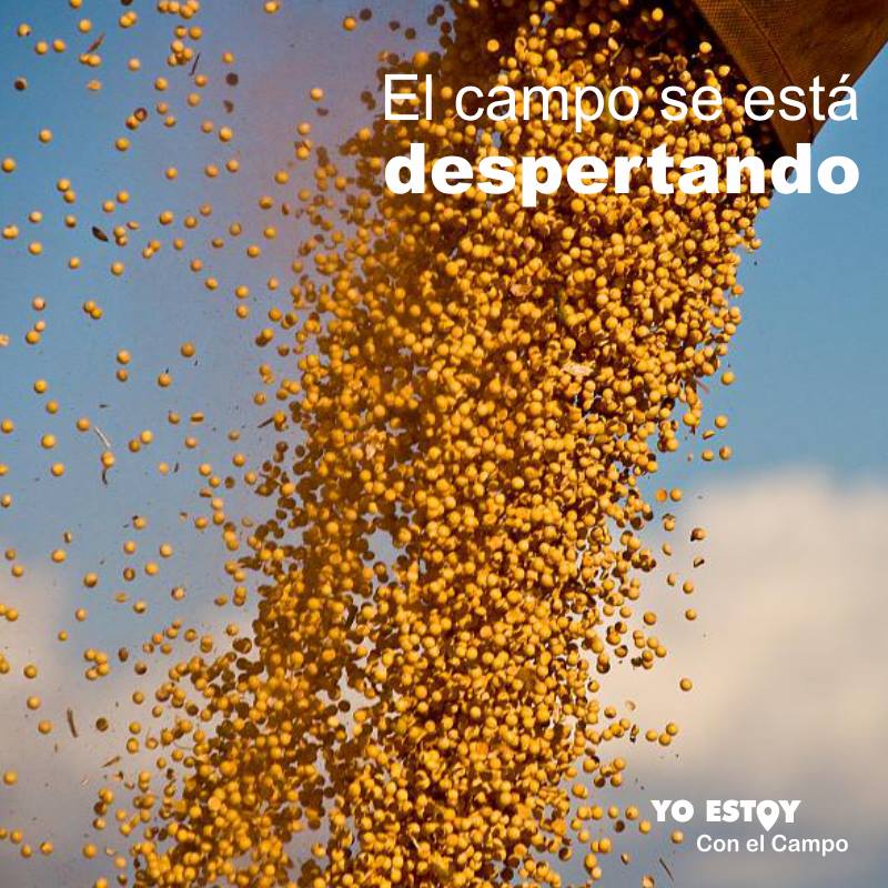 estoyconelcampo's tweet photo. Confiando, sembrando, cosechando,apostando todos los días...trabajando juntos el campo y el país, saldrán adelante. https://t.co/sjpZrtX378