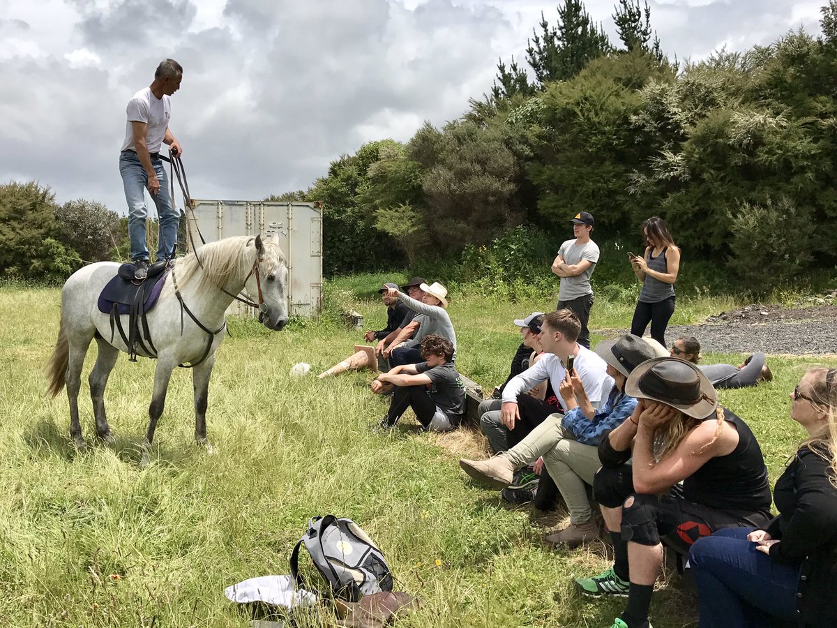 Daynastunts's tweet photo. Zac teaching a lesson on our stallion at our stunt horse workshop this weekend.... #newzealandstuntschool #nzstuntschool https://t.co/7aQrHYkGOd