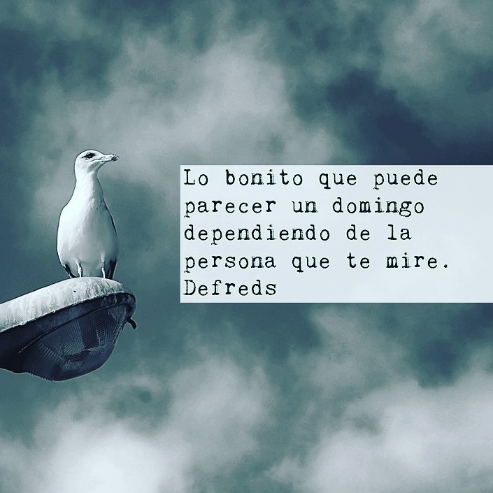 Domingo.