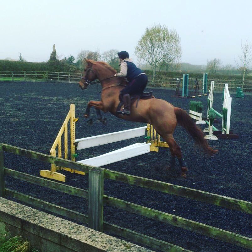 Comets Corner tweet media