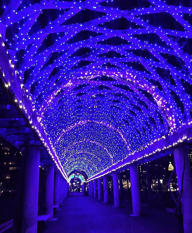 WeekendPick's tweet photo. So bright you need shades 😎... #Boston #TrellisLighting https://t.co/2EUtvjHI04