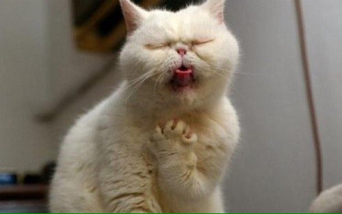 bebi_fernandez's tweet photo. Mañana es lunes. https://t.co/y5S7Z2uBDi