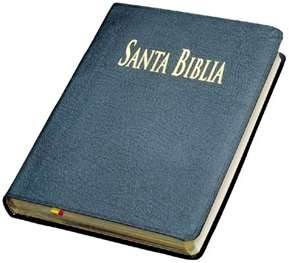 1RodrigoAlexand's tweet photo. #QuemaDeBiblias Un minuto de silencio por todo esos árboles cortados, para hacer esta basura. https://t.co/i7nPJOZxuY