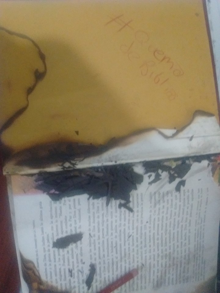 daniholkeano's tweet photo. #quemadebiblias y dijo dios vendran cosas peores, y nacieron los creyentes :v https://t.co/Lz1EMv1rT3