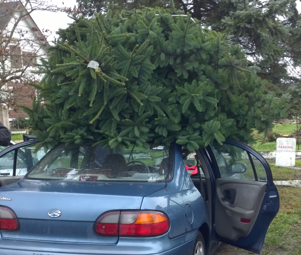 strtrkn's tweet image. Our tree will be on the way home soon! Great time at Snow Valley Christmas Tree Farm!