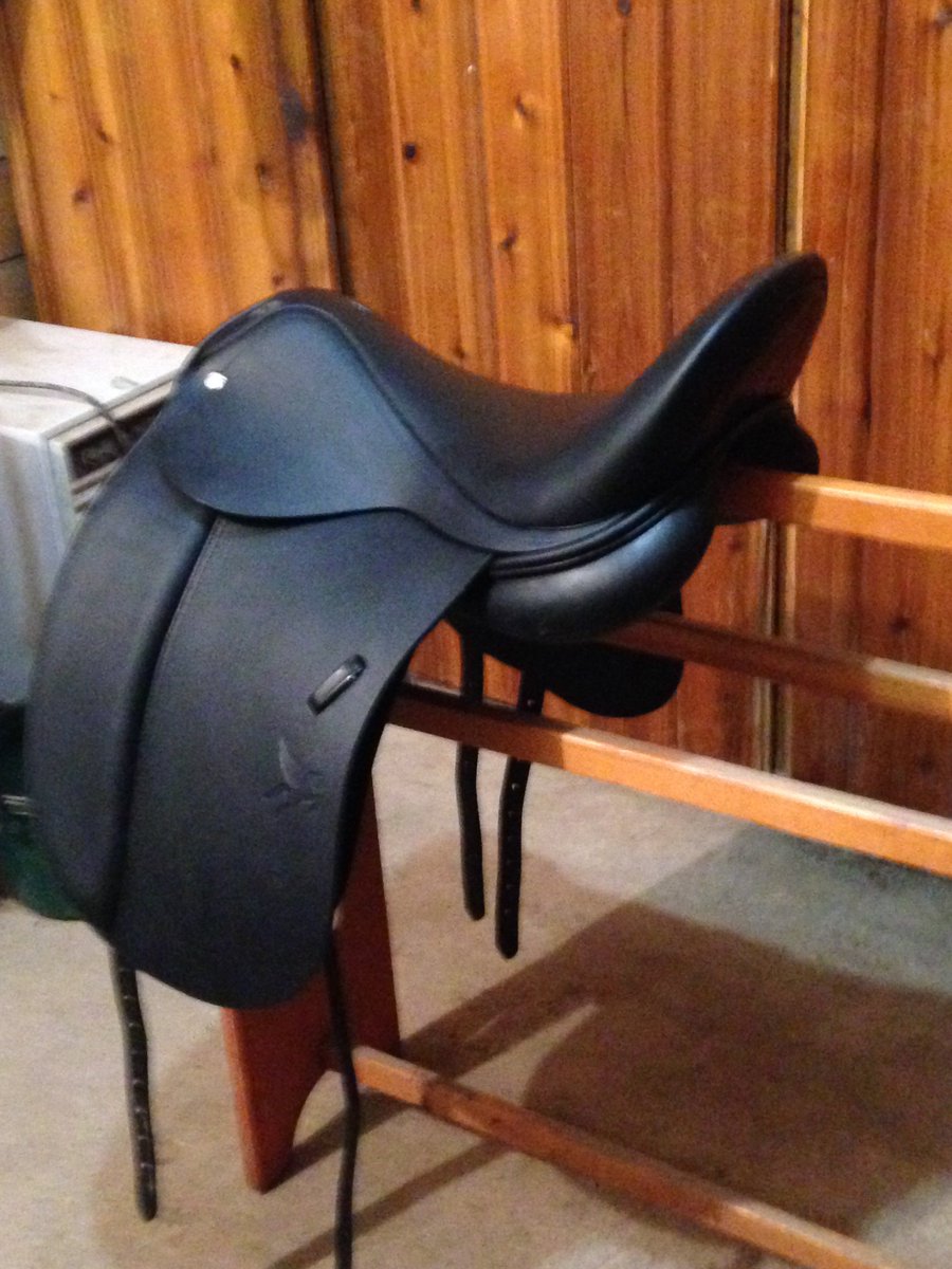 I love my new Paramount dressage saddle! The Patent leather accessories adds the perfect amount of bling💍💍💍💍