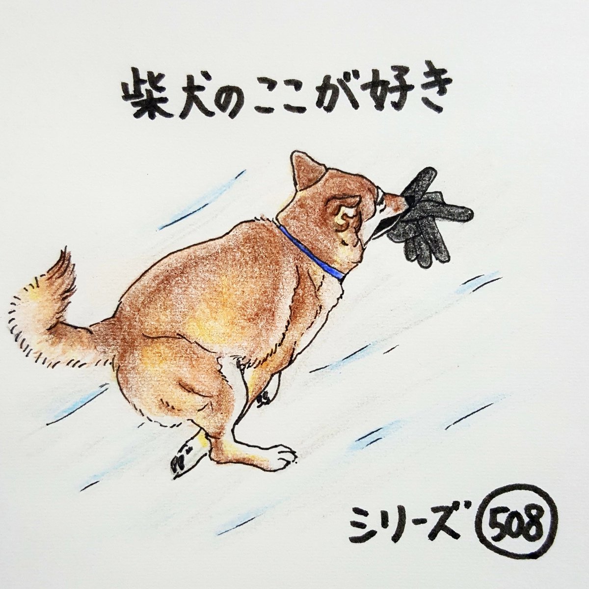 ここ柴 獲物をゲットすると 秒速で逃げるとこ 雪道で手袋盗んだんだれ 柴犬のここが好き ここ柴 柴犬 イラスト ここ柴 獲物をゲットすると 秒速で逃げるとこ 雪道で手袋盗んだんだれ 柴犬のここが好き ここ柴 柴犬 イラスト