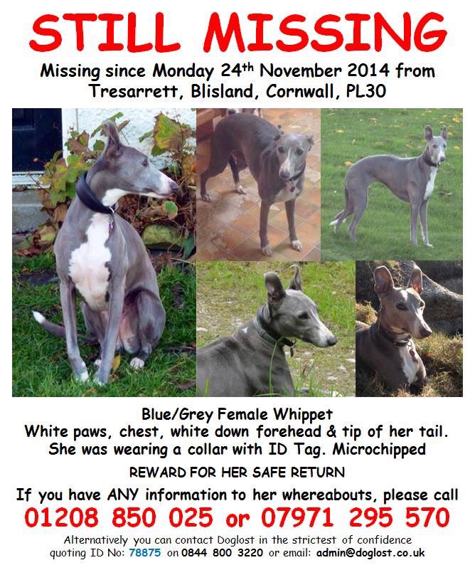 <a href="/FindTopesy/">Find Topesy</a> 💕