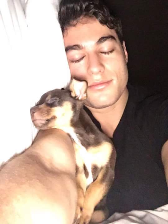 danilocasEc's tweet photo. Deseo con todas mis fuerzas ser ese 🐶❤ ❤❤😳@DaniloCarrera cuántas más como yo ?👋 👋👋 @DaniloCFCVzla @DanilocoItalia https://t.co/ynMLcdWLeu