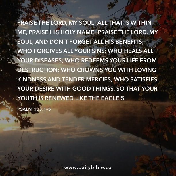 Bible Inspirations 🙏🏼 (@bibleinsp) on Twitter photo 