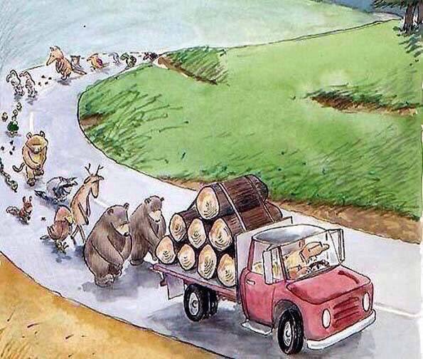 isaacBIOvega's tweet photo. #SaveTheForest ❤️🌍🌳 #StopDeforestation
Los bosques son nuestros pulmones y su tala afecta y daña a muchas vidas 💔😿 https://t.co/KRe0IklVeh