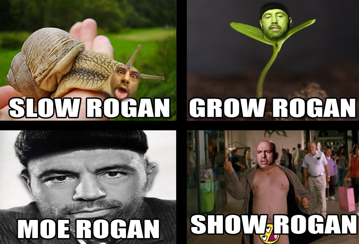 420DesignZ tweet media