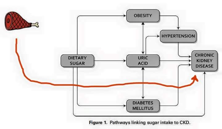 Nutrición aLa Medida tweet media