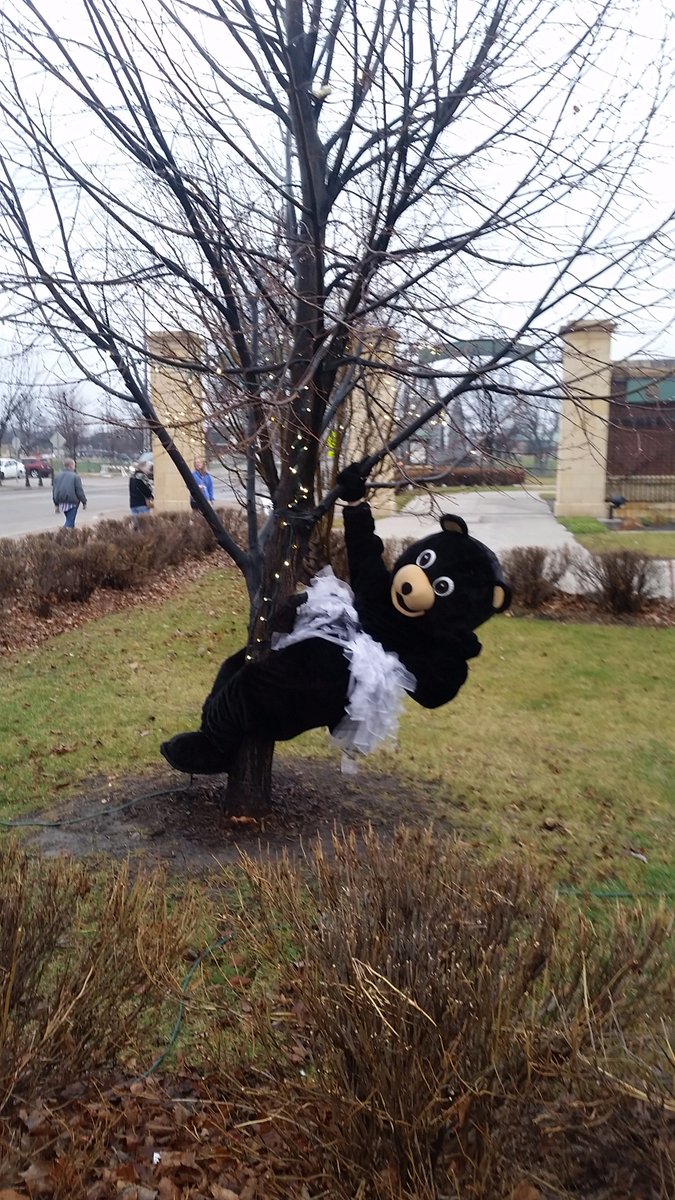 ChiroRx's tweet photo. Coco's just hanging around at the #HollyDazzle Festival Lights! @GoDowntownGF https://t.co/fLqmfVKMkr