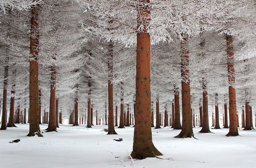 StormHour's tweet photo. Contrast of colours in winter. Image credits: deep21 https://t.co/b0b5syEh3G #Snow #StormHour https://t.co/GfSQ7nruiJ