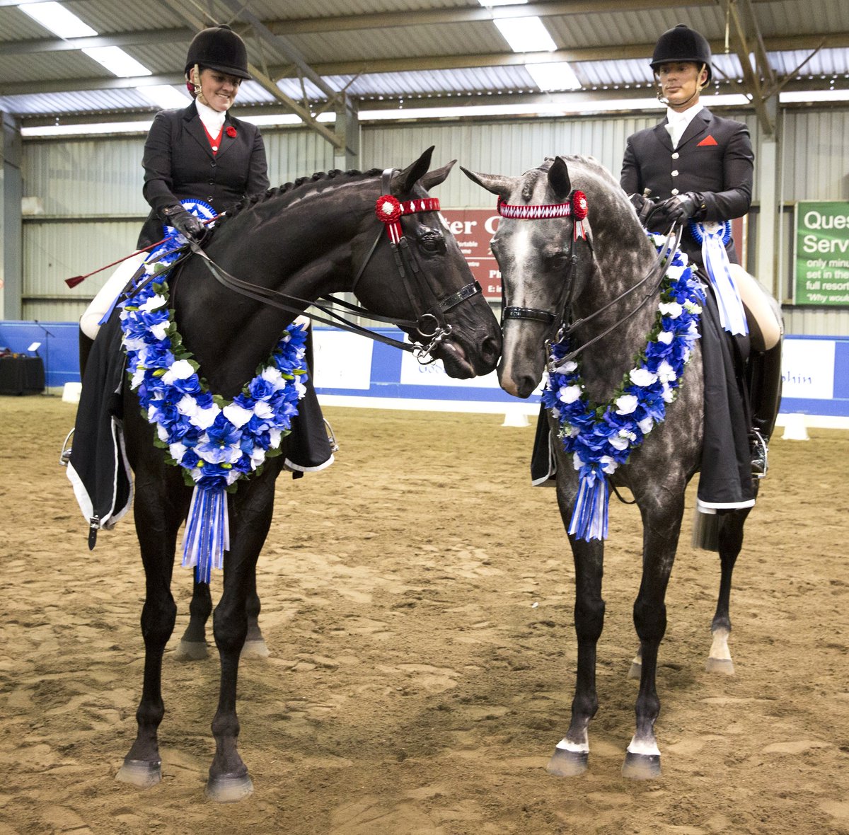RV_OffTheTrack's tweet photo. ICYMI: Briony Randle and Entourage took out the OTT National Show Horse Championshop sponsored by @godolphin over the weekend https://t.co/fNGXFjSgdH