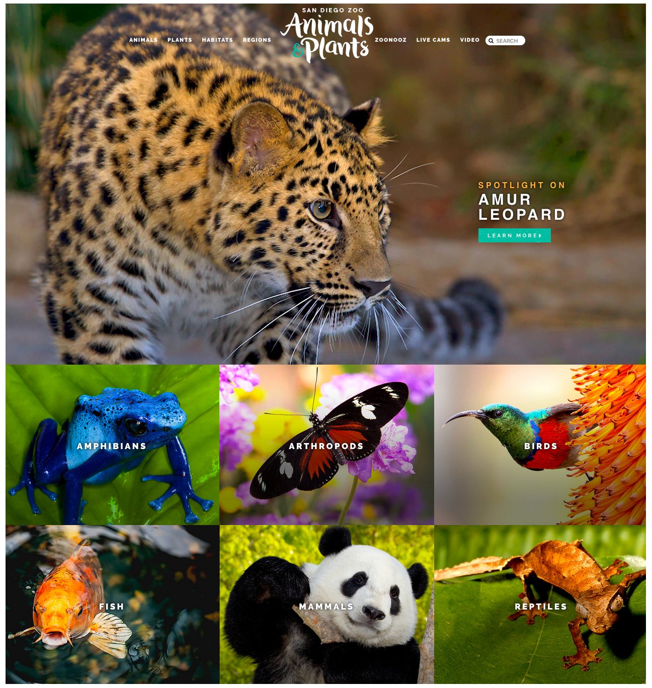 San Diego Zoo Wildlife Alliance on Twitter: San Diego Zoo Wildlife Alliance on Twitter: