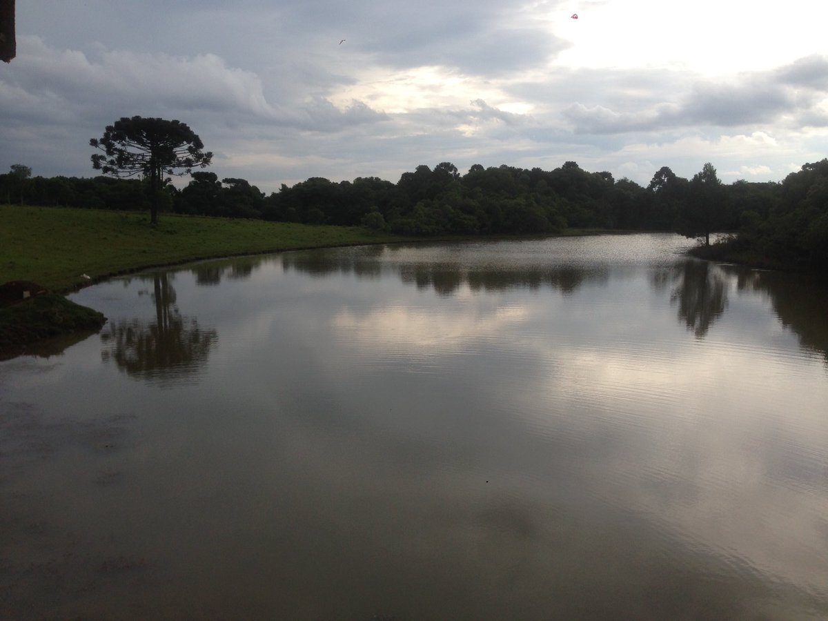 Dia abençoado de surf com a galera da greenfallskatepark . 👏👏👏.