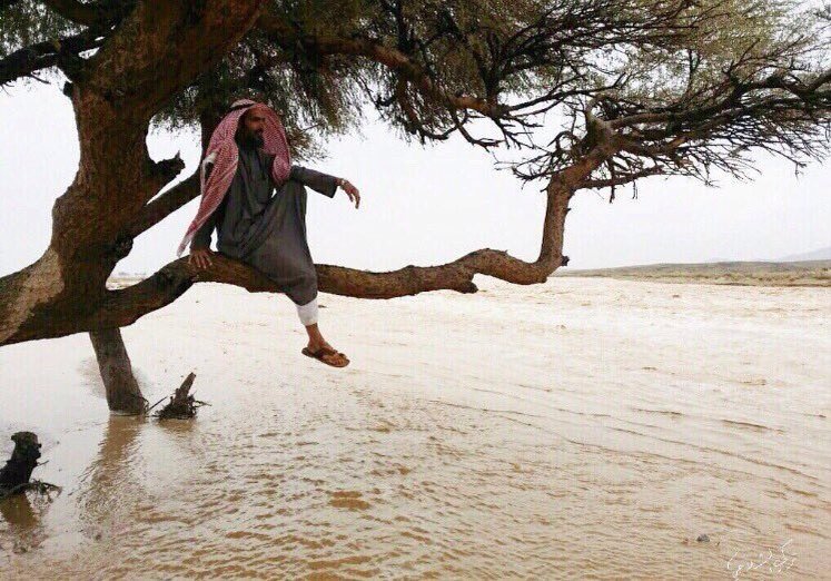 Sa999D's tweet photo. دوام تصبحون ع خير https://t.co/26NpuUrWKW