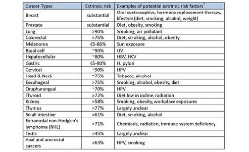 ThingsYsl's tweet photo. Your Lifestyle Causes Cancer NOT Your Genetics. (And Natural Treatments For Cancer) https://t.co/dd6yO596rj #yoush… https://t.co/Ec7Wfoa7cp