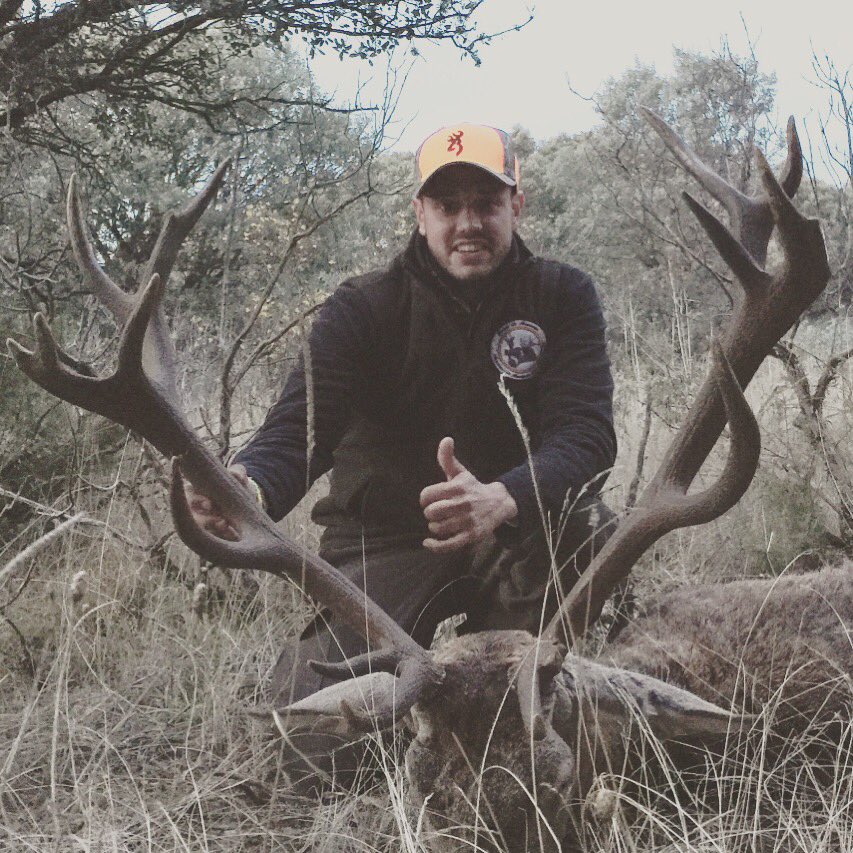 Bonito venado en abierto. Soria 2016