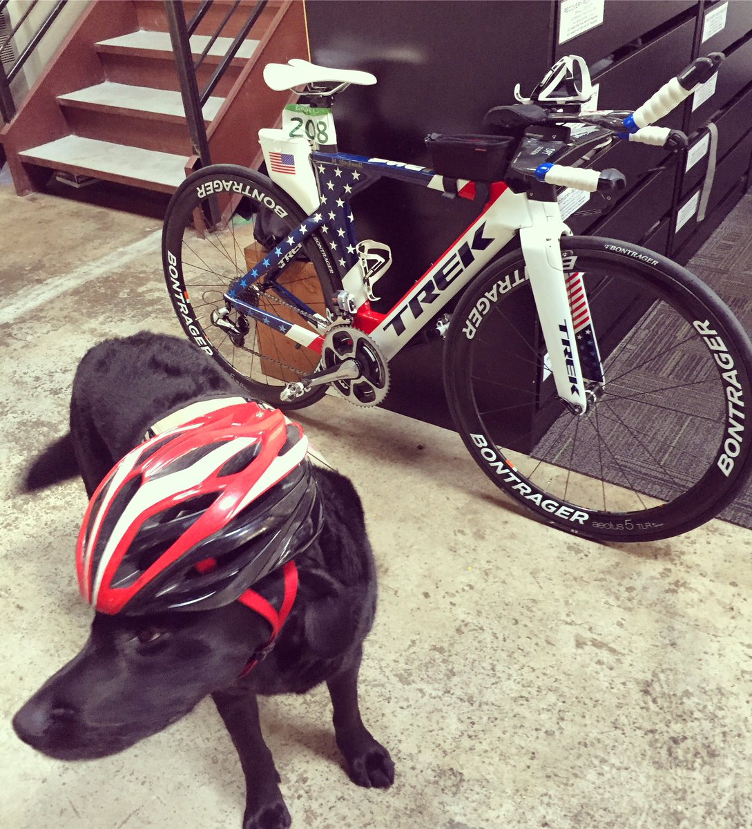 rapidocycles's tweet photo. Hey guys, it's nice out. I think I'll go for a bike ride! Love, JAKE #70degreesinnovember @TrekBikes https://t.co/QtKHJtTCSz https://t.co/YbpsnX4mh9