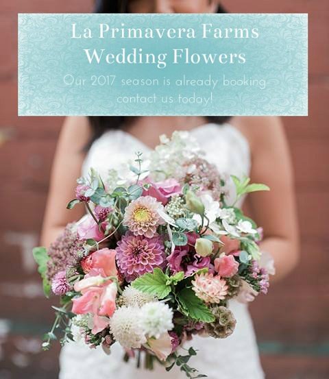 Booking #OntarioWeddings for our 2017 season! 💓👰 #LPVFarms #LPVWedding #Toronto #HamOnt