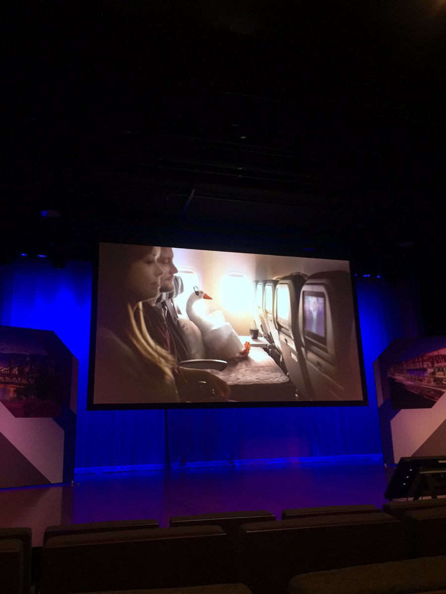 dimitygrace's tweet image. Always giving a laugh @airnzaustralia @AirNZFairy #PCOconference