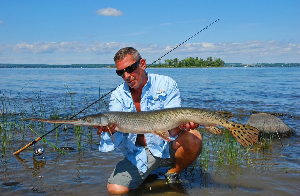 thefishinglife's tweet photo. #garzone https://t.co/FLDC5aV11H