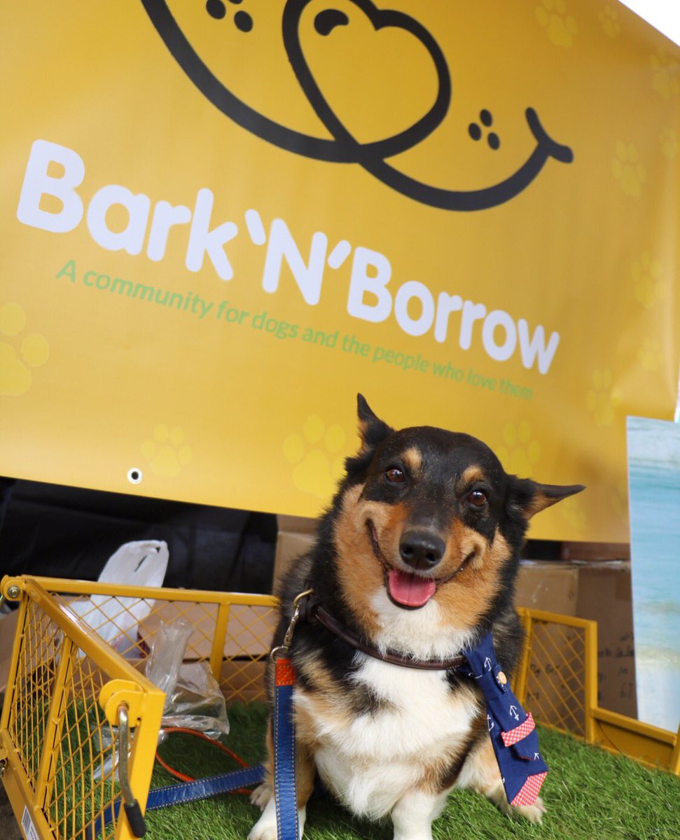 barknborrow's tweet photo. Our logo resembles a smile, and it's not just a coincidence! 😁Join our pack and you &amp; your pup will be wearing a smile just as big as this! https://t.co/CTOWV1I80C