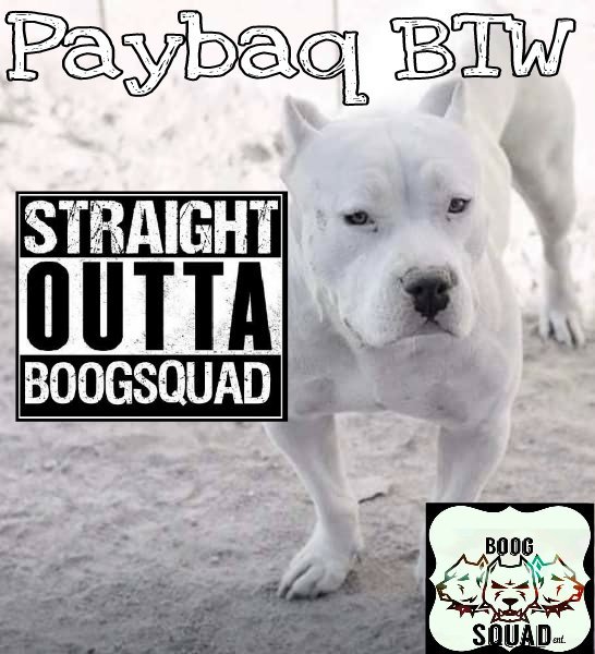 IAmLAVA1's tweet photo. @IAmLAVA1  @PayBaqMrNji @CarlBurr32  #boogsquad https://t.co/jVhSsZaeiG