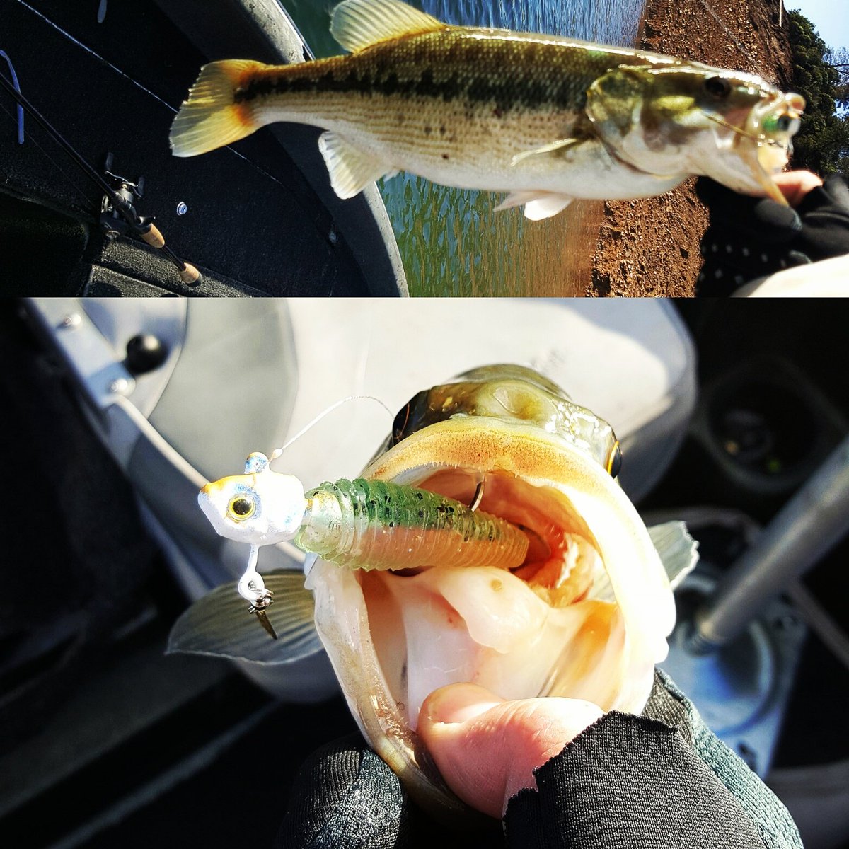 @shastabassbaits <a href="/Carrotstix13/">CARROT STIX</a> <a href="/ArdentReels/">Ardent Reels</a> <a href="/stnchy/">Stnchy</a> the proof is in the bite. #spottedbass #bigdinkdreams #practicemakesperfect